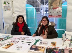 feria-voluntariado-i